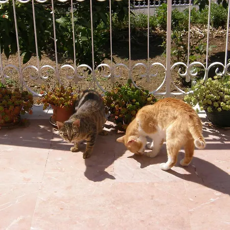 Maria Makri Apartament
